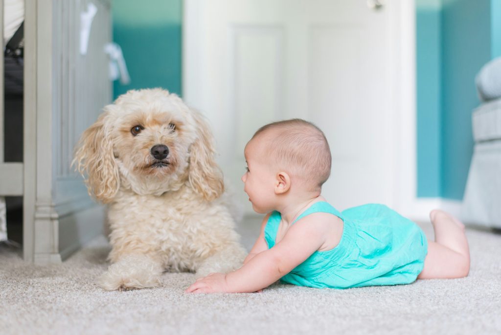 baby and dog enjoying carpet